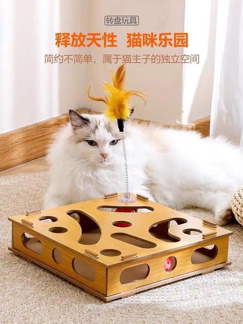 给猫咪选择最合适的玩具，激发爱玩的天性