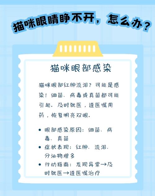 揭秘猫咪真菌感染的隐藏威胁，了解症状与应对策略