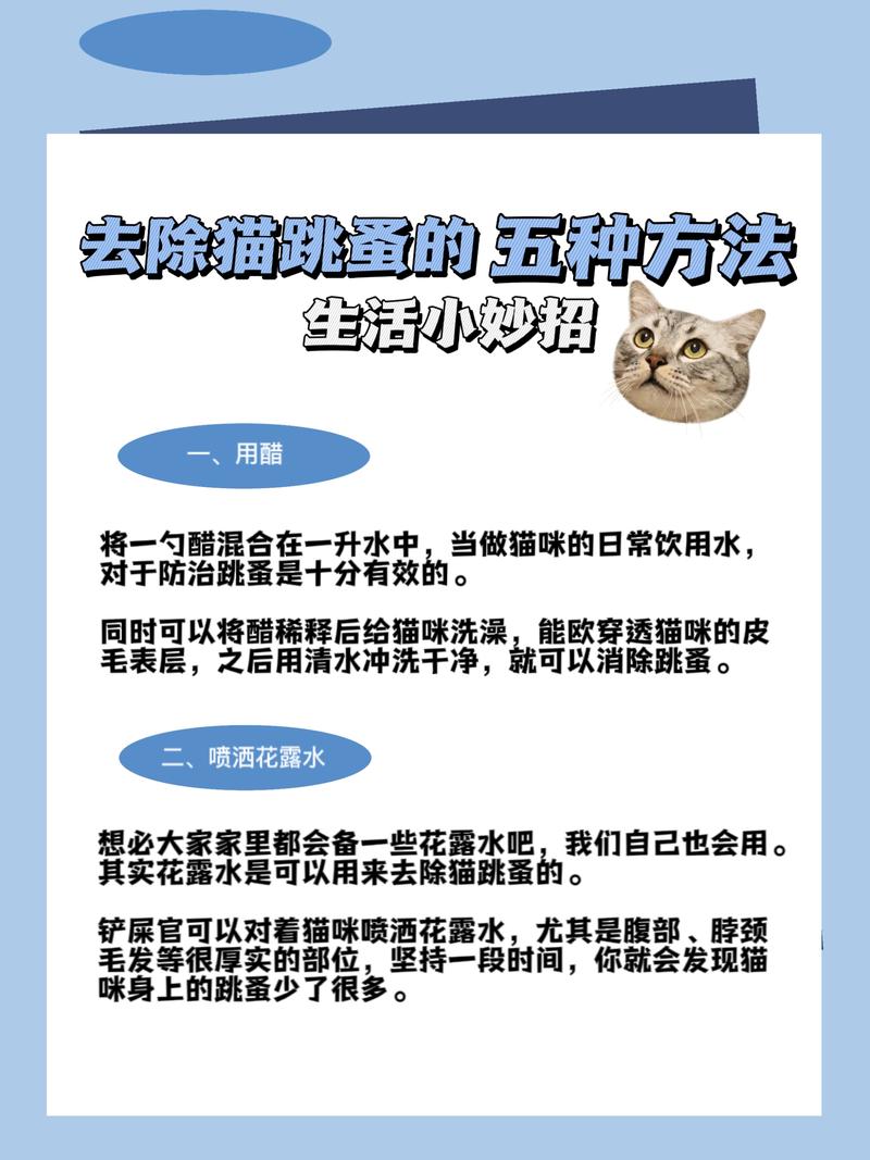 如何有效清除猫咪身上的跳蚤