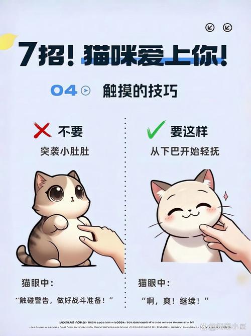 猫咪不爱玩玩具？如何激发它们的兴趣