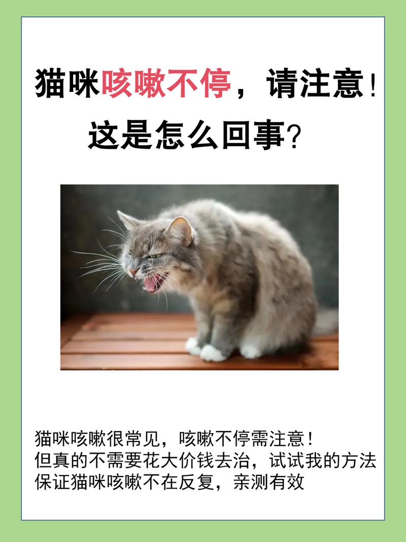 猫咪呼吸声异常大？你需要了解的五点原因