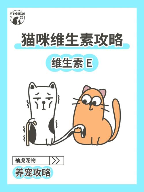 猫咪的健康小秘密——维生素E的秘密