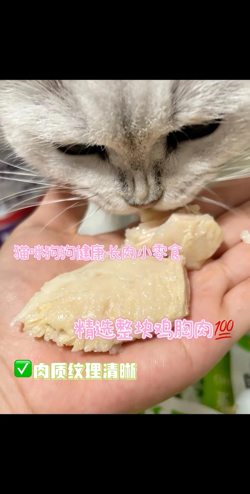 猫咪食谱中的小陷阱，鸡胸肉引发的腹泻风暴