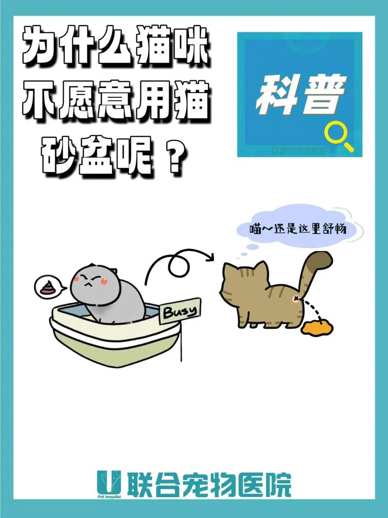 猫咪为什么对猫砂情有独钟？