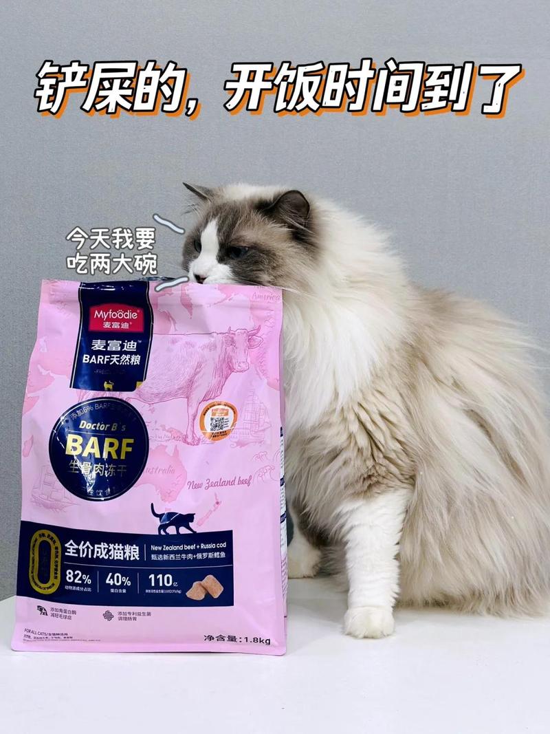 如何妥善应对宠物猫咪的离世