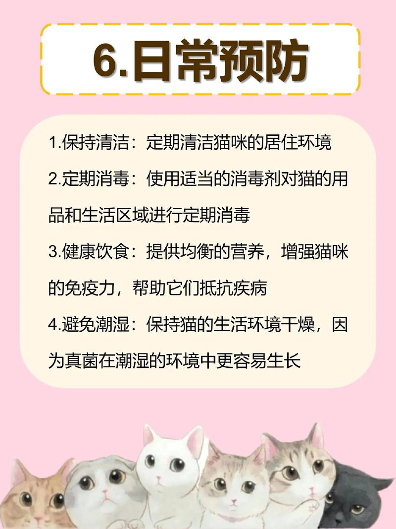 猫咪得猫癣饮食调养指南