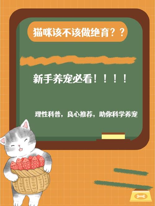 揭秘猫咪绝育，为爱宠健康着想的必要步骤