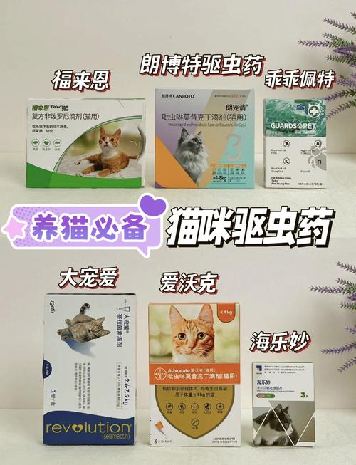 猫咪驱虫药哪家强？选购指南与实用建议