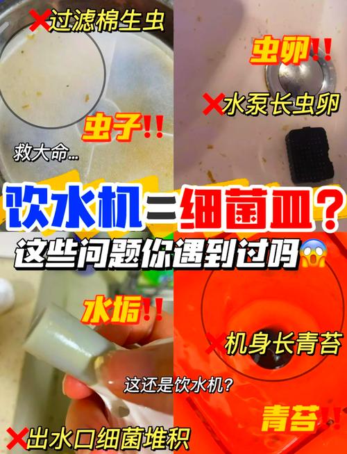 猫咪饮水机是否安全？