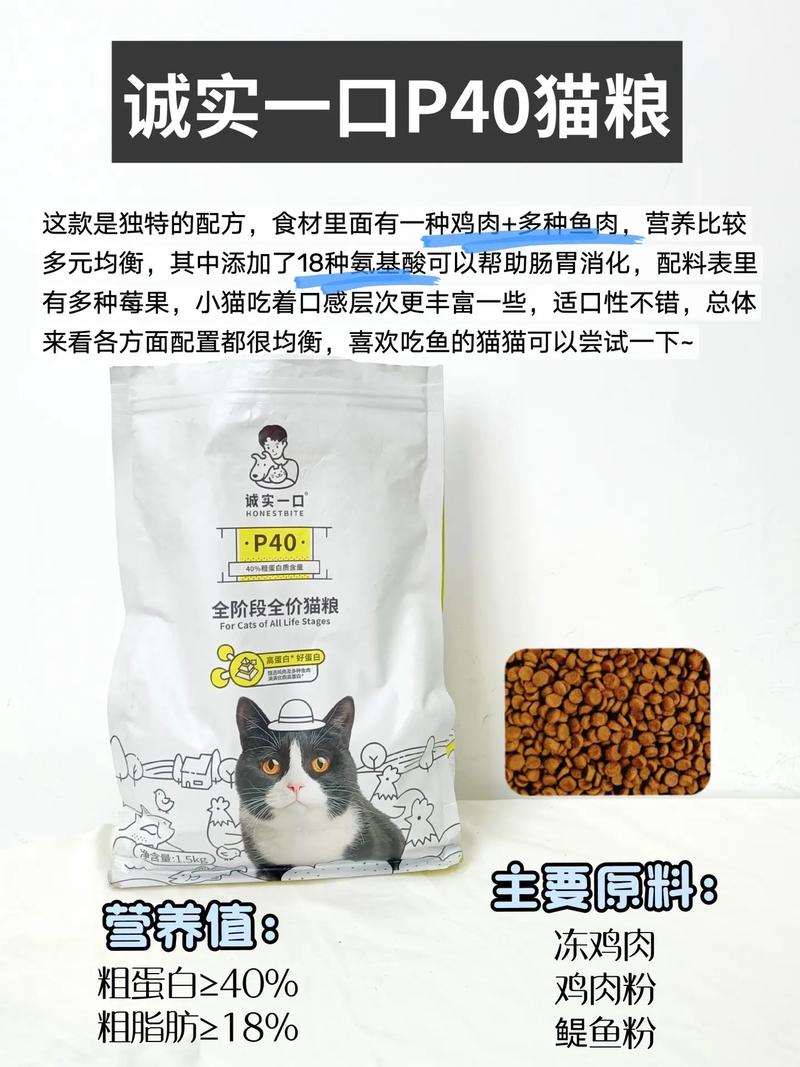 解决猫咪肠胃不适问题的实用指南，精选猫粮推荐