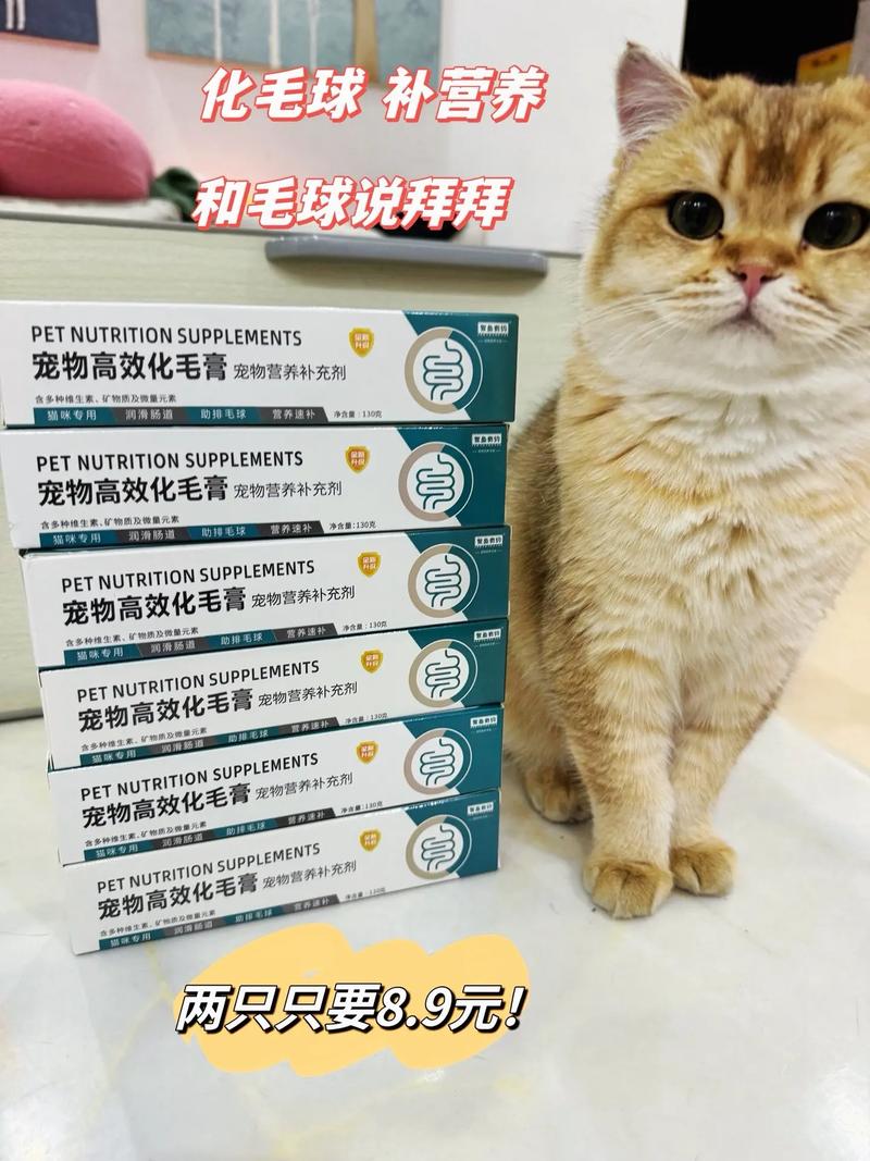 揭秘，猫咪的毛真的可以剪吗？——探索猫毛护理的科学与艺术