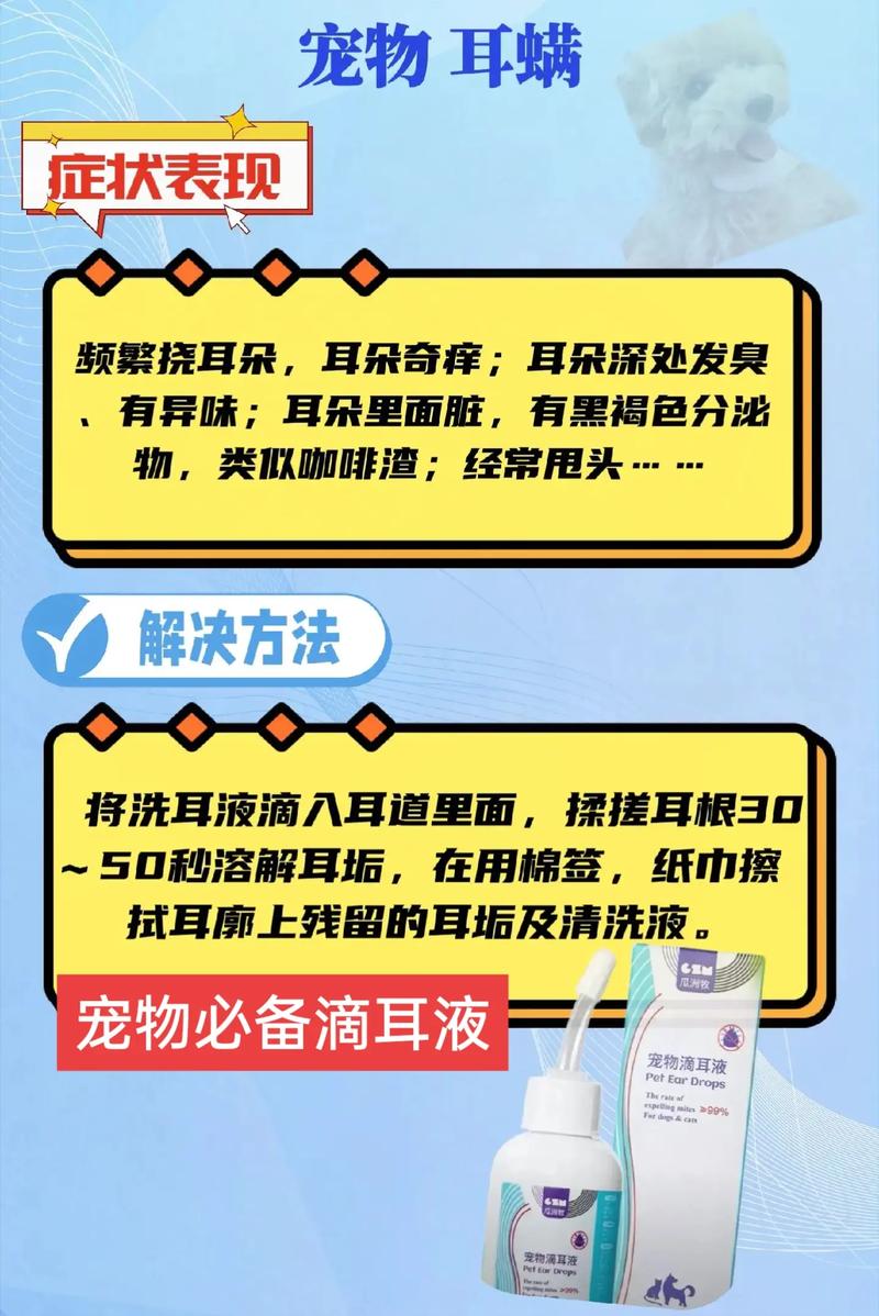 猫咪耳朵健康需注意，何时该使用滴耳液