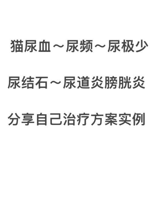 猫咪尿路感染消炎药，如何科学治疗猫咪的健康问题