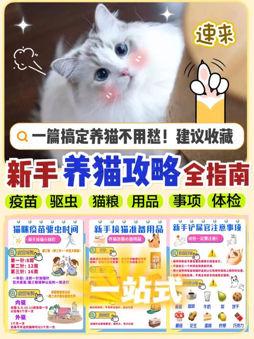 揭秘猫咪驱虫和疫苗的费用，一次全面了解