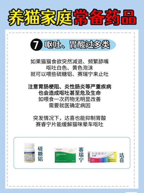 猫咪呕吐腹泻？用药前请先了解原因