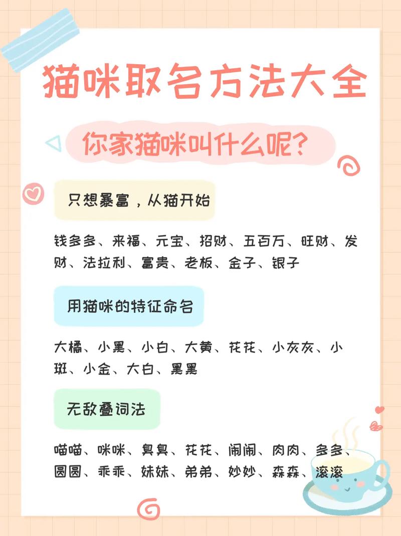 给小猫咪起名的艺术，为你的毛茸伙伴挑选独一无二的名字