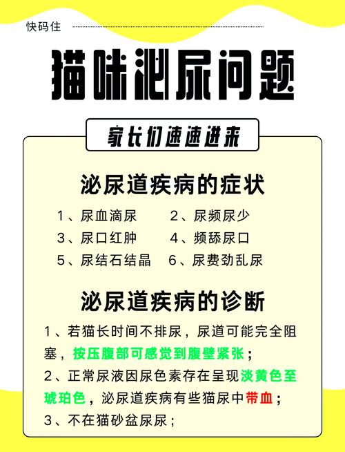 猫咪尿道炎，症状识别与有效护理指南