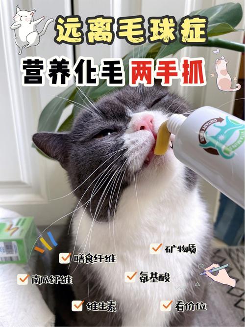 猫咪的美容秘密，维斯康猫咪化毛膏如何让您的小猫光彩夺目