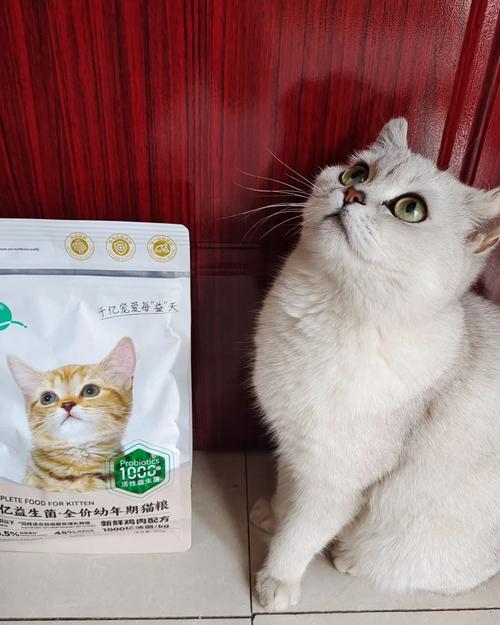 猫咪能否仅靠猫粮健康成长？