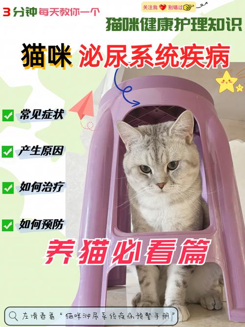 了解猫咪泌尿系统疾病的那些事儿