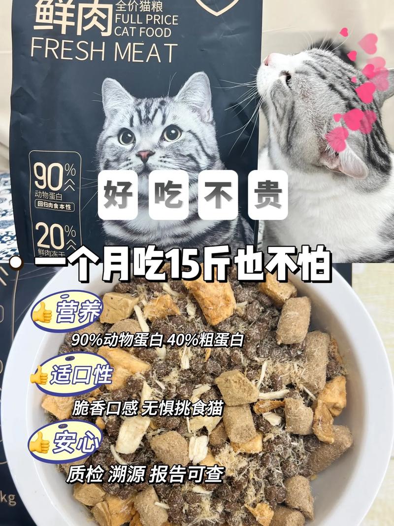 猫咪零食，科学喂养，宠爱有道