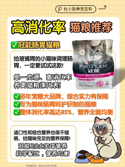 猫咪的日常烦恼，一天没拉屎的背后