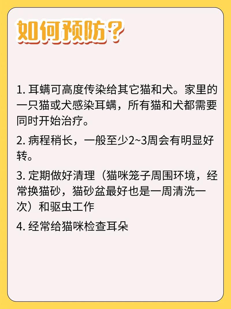 猫咪得耳螨了？这里有一套解决办法