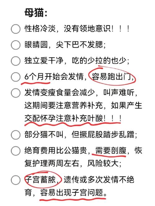 猫咪绝育，了解利弊，做出明智决定