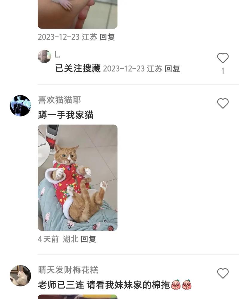 猫咪眼镜下的红色秘密