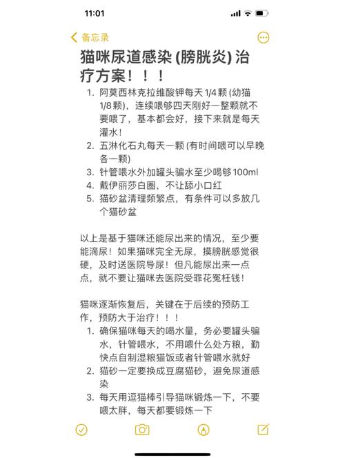 猫咪的小秘密，尿道发炎，你该知道的事