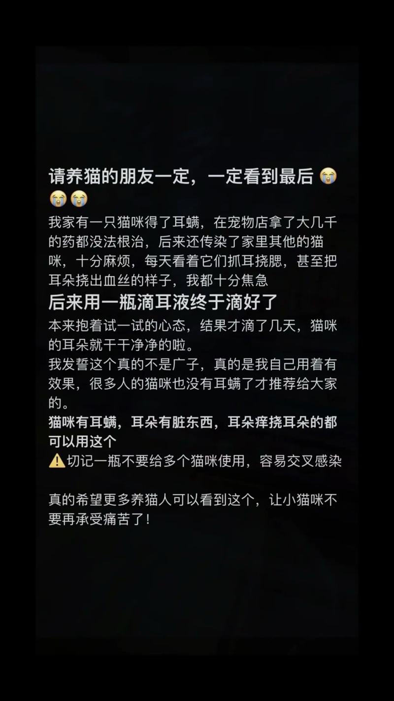 猫咪耳朵发痒，了解原因与护理方法