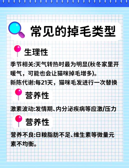 猫咪大量脱毛，可能的原因及如何护理