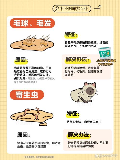 猫咪天天吐，了解常见原因与应对措施