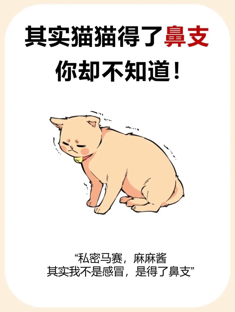 猫咪持续流鼻涕，是普通感冒还是潜在健康问题？