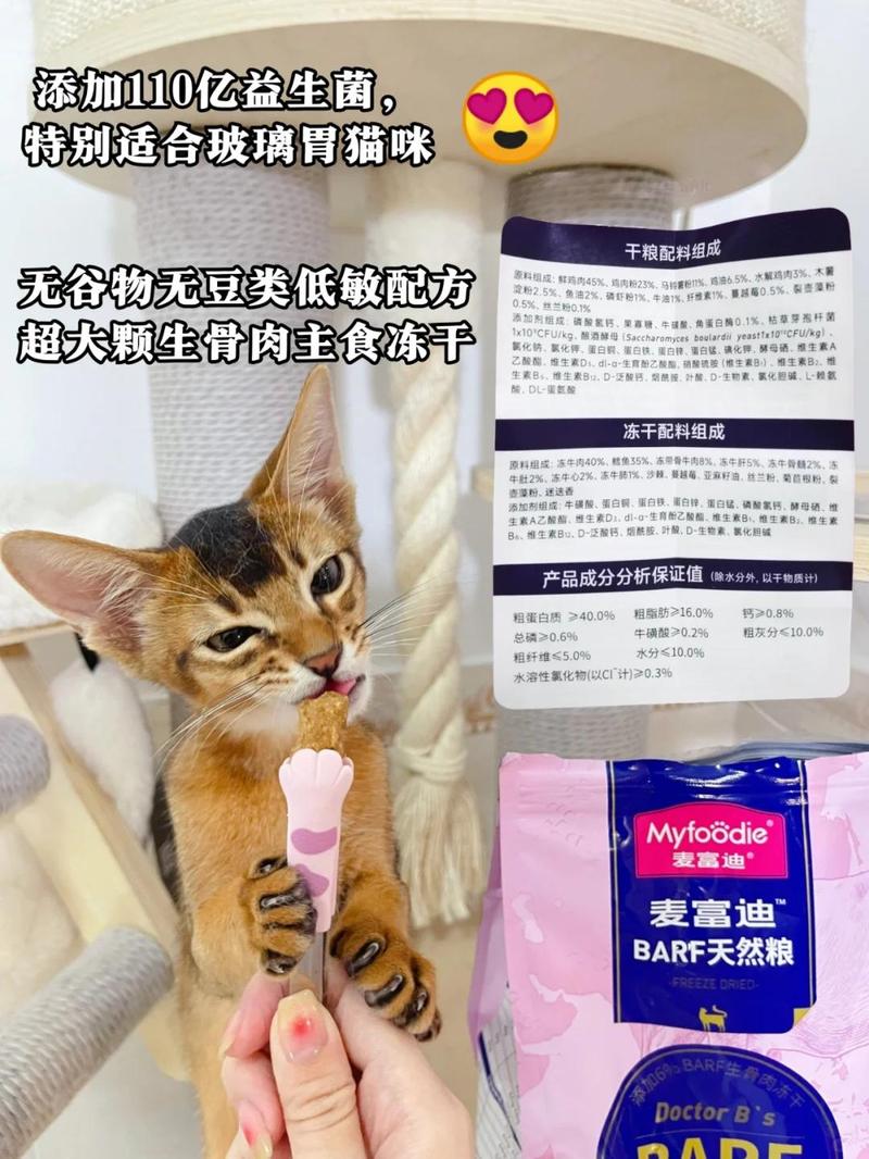 猫咪排便频繁？五大原因及解决办法