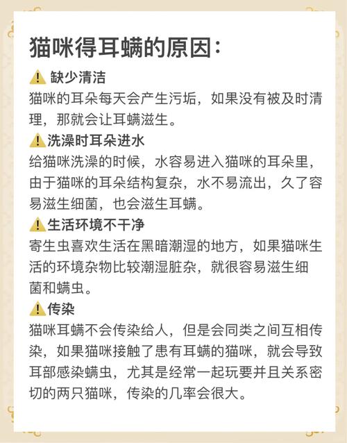 猫咪耳螨问题严重？轻松解决之道