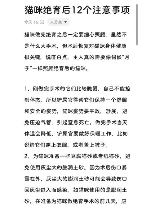 猫咪绝育真的好吗？——健康与幸福的双重选择