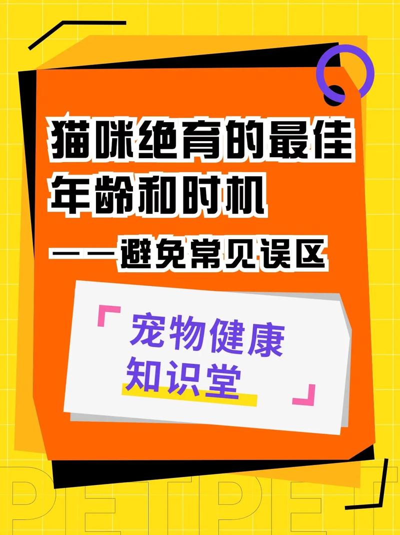 猫咪节育最佳年龄，早做决定，让它们更健康