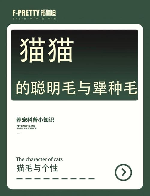 猫咪耳朵里的毛发，原因与影响