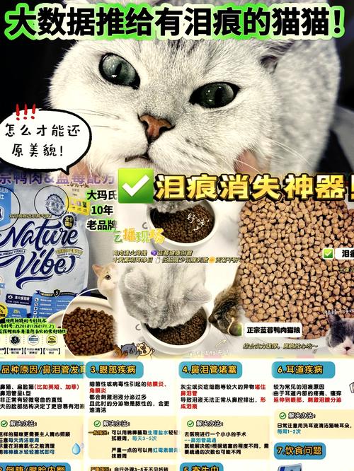 揭秘猫咪红眼屎背后的秘密