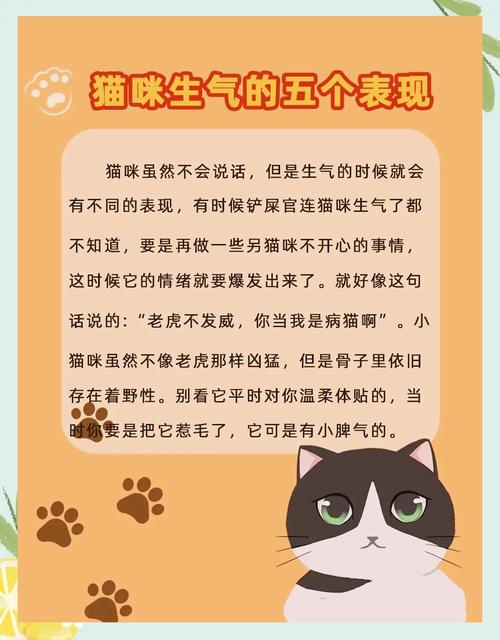 猫咪为何在生气时耳朵会往后贴？