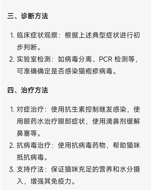 揭秘猫咪轮状病毒感染，预防与治疗全攻略