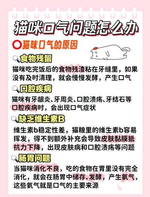 猫咪口腔异味，如何呵护爱宠的口腔健康