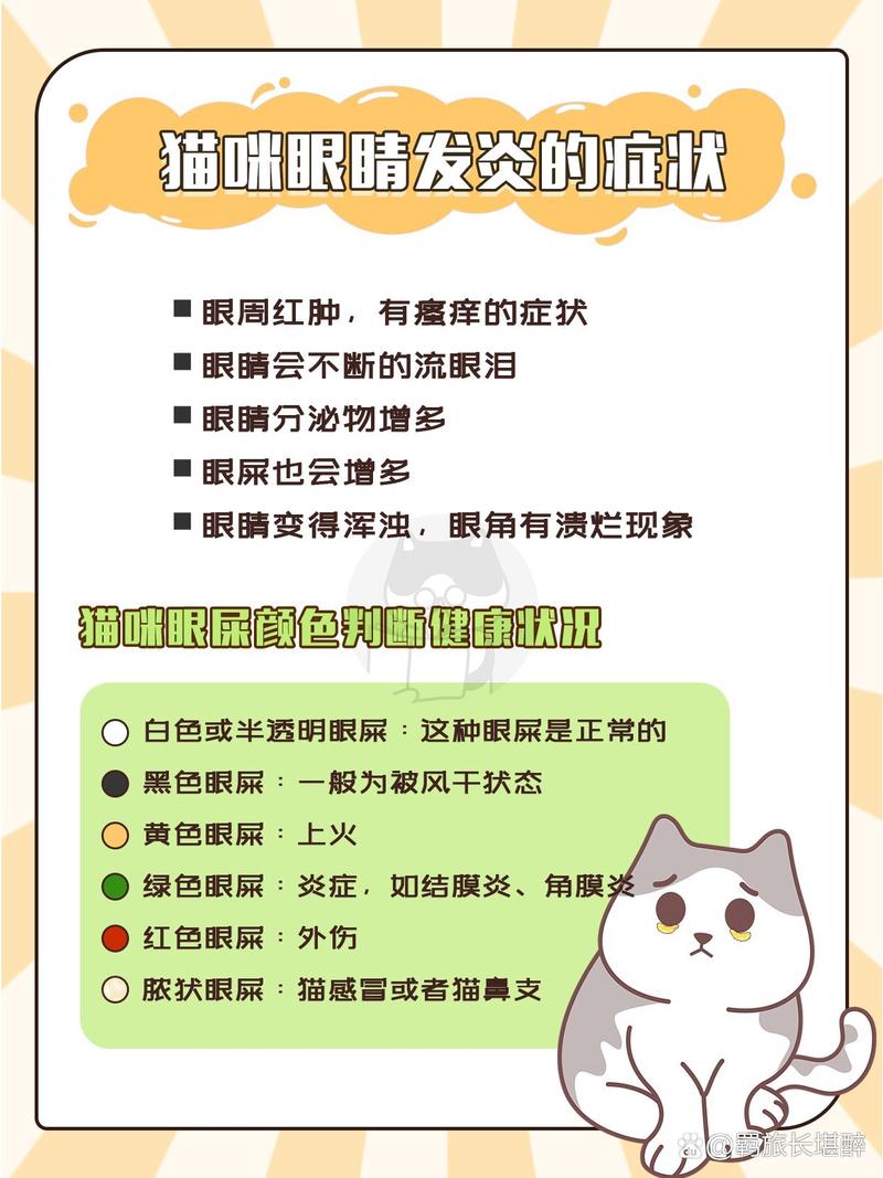 猫咪的严重炎症，如何及时治疗与护理