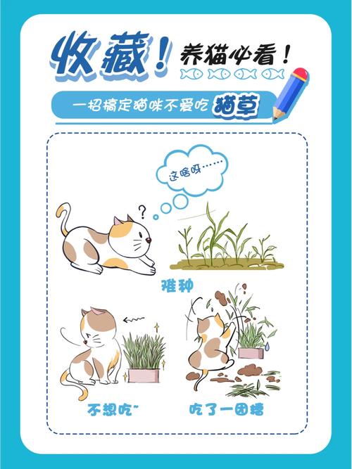 猫咪不爱吃猫草？这里有几种可能和解决方案