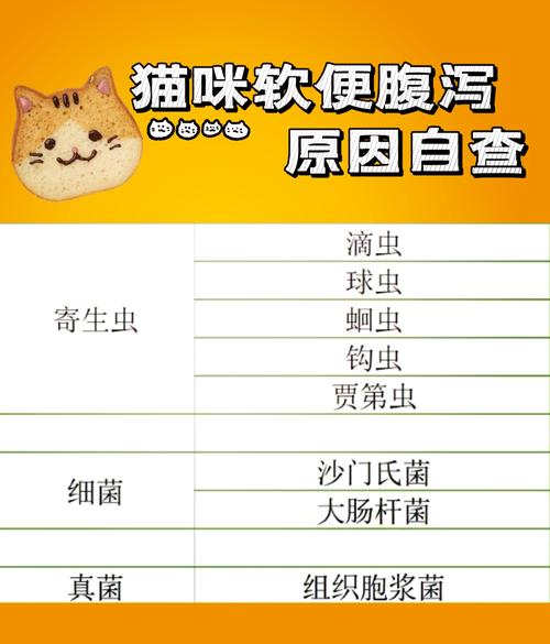 猫咪感冒时为什么会拉稀？