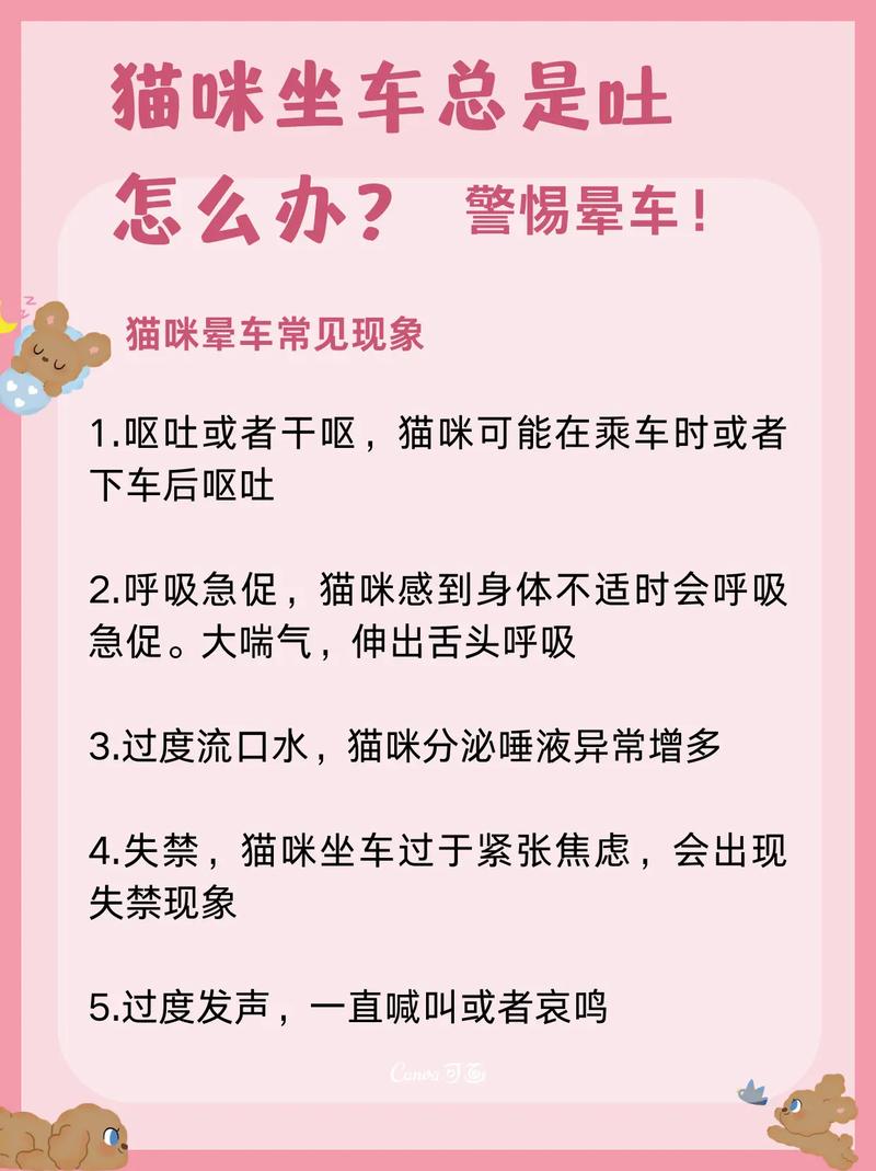 猫咪怀孕为何呕吐？解析妊娠反应