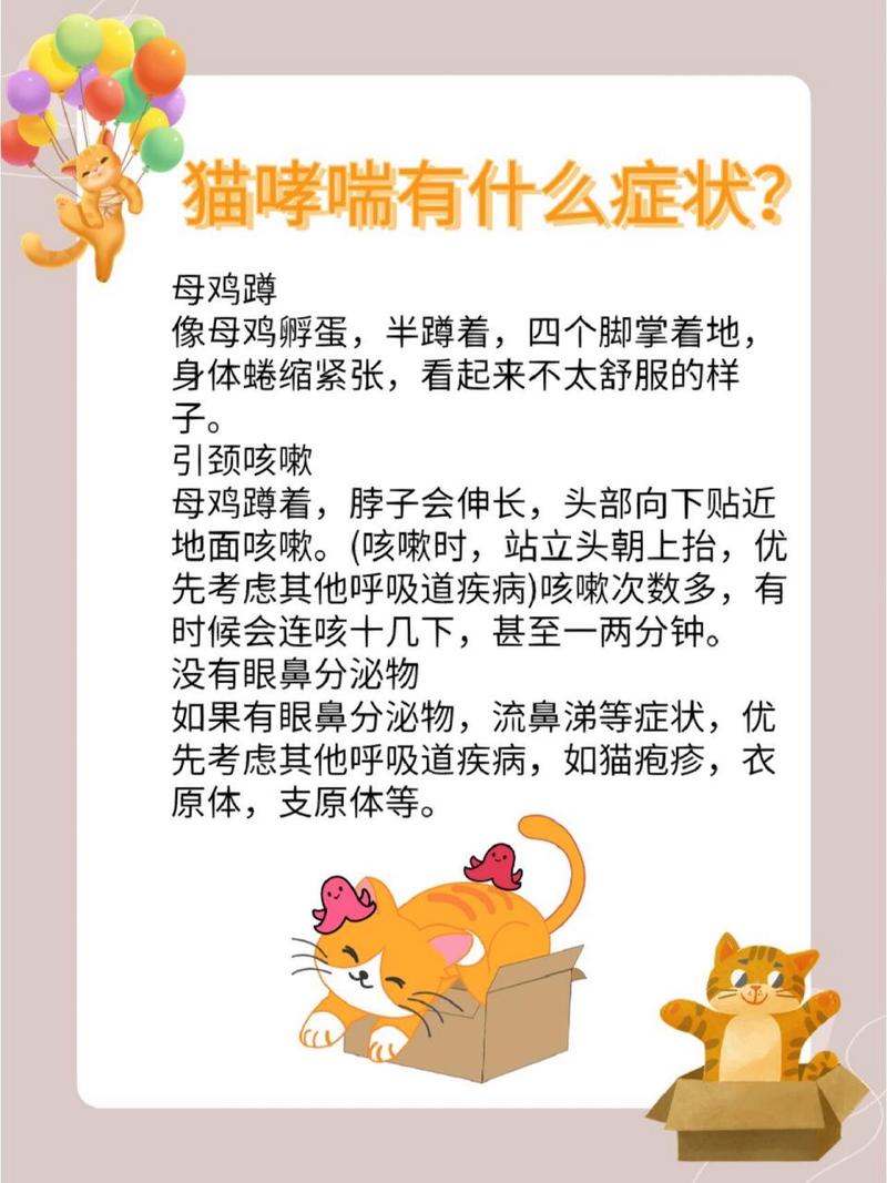 猫咪哮喘，了解症状及有效治疗方案