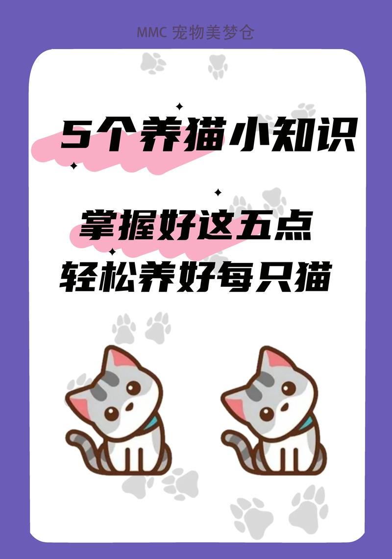 科学喂养猫咪，打造健康快乐毛孩子