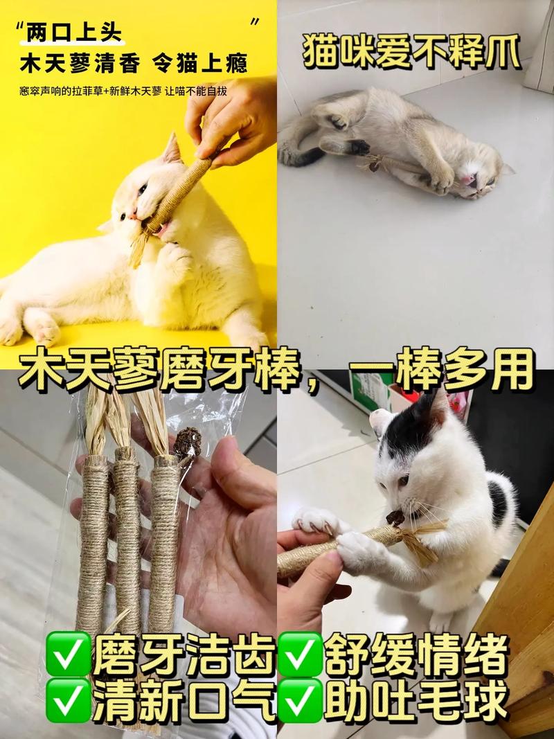 猫咪吃磨牙棒的好处与注意事项